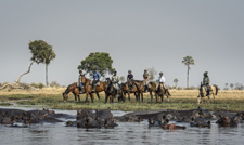 Botswana-Okavango Delta-Okavango Big Five Safari